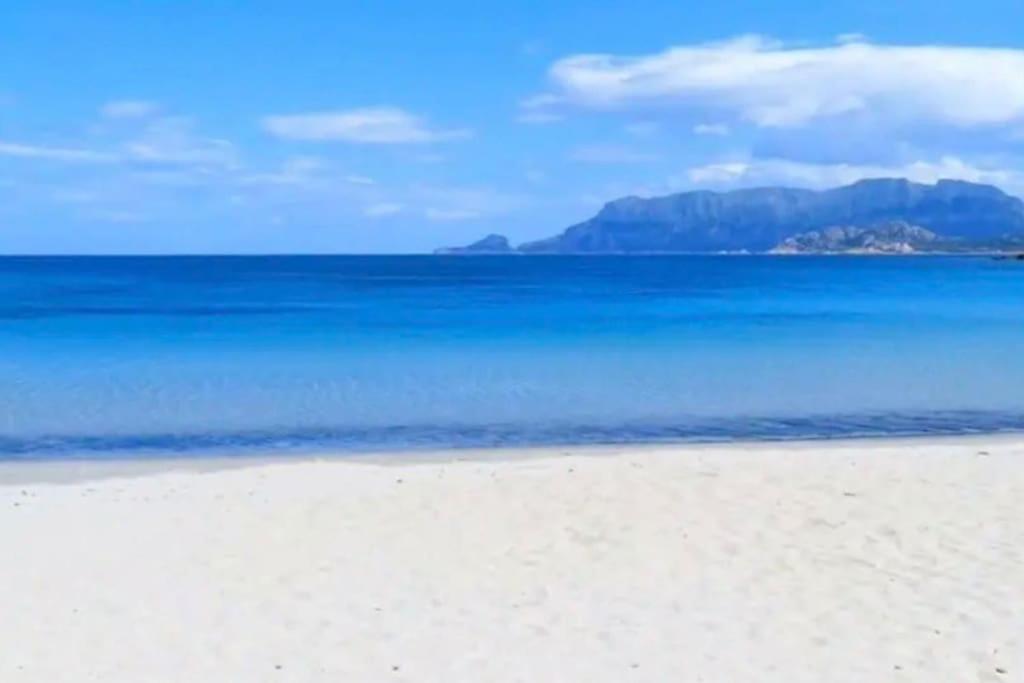 Dimoras Bellissimo Centrocitta